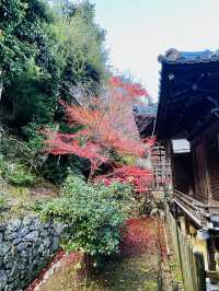 日本·京都嵐山二尊院