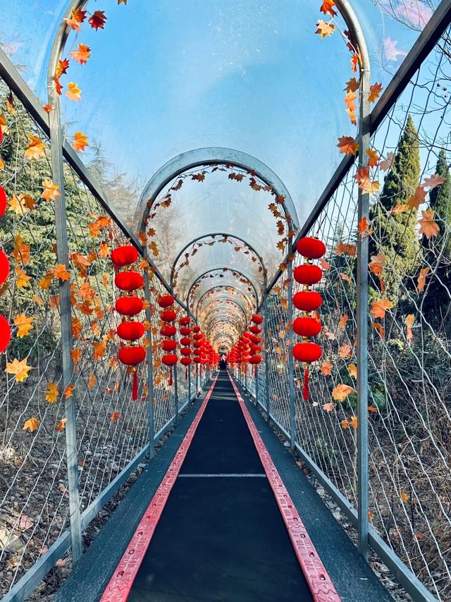商丘‖一個被上帝遺忘的地方~