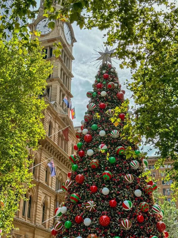 Sydney's Martin Place Hosts the Southern Hemisphere's Tallest Christmas Tree