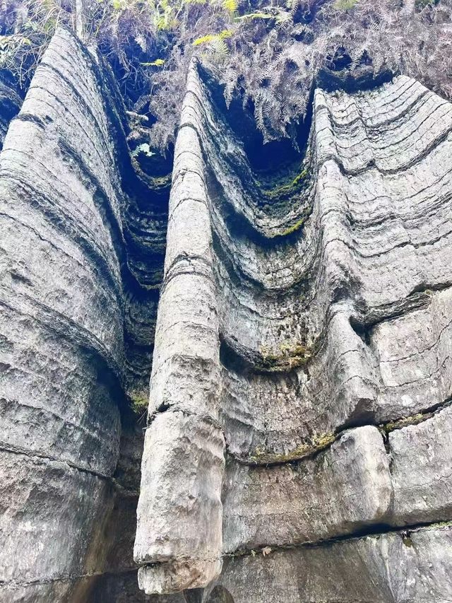 恩施土家族苗族自治州 6天｜旅行攻略