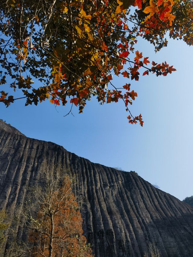 武夷山行程(第二日) 武夷山行程(第二日)