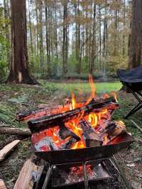 安吉 | 綠野營地，開啟一場星空下的露營派對