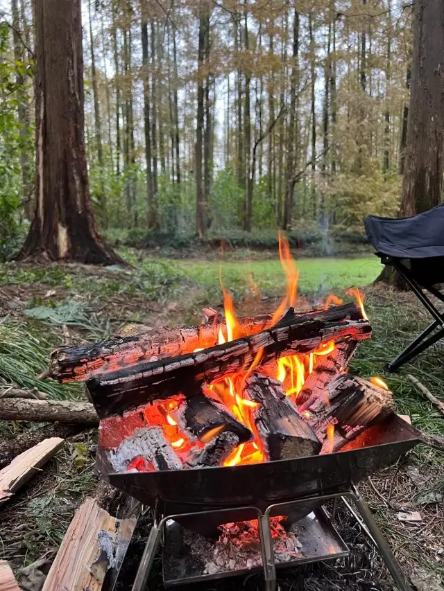 Anji | Greenfield Camp, Start a Camping Party Under the Stars