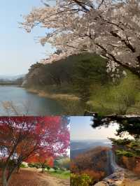 三天玩轉韓國金浦市，超詳細攻略來啦！