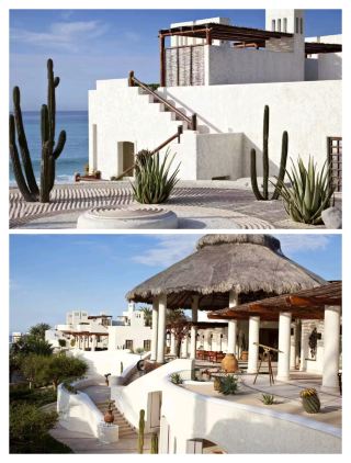 Too much! Los Cabos is so cheap that you'll doubt your life