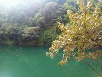 鼎湖山風景名勝區