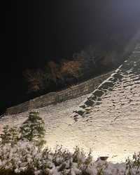 邂逅盛岡城跡公園，探尋歷史的雪影