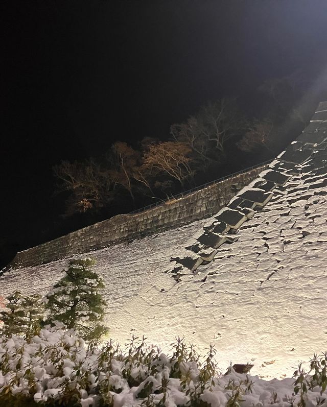 邂逅盛岡城跡公園，探尋歷史的雪影