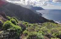 特內里費島的Casanaga 和Benijo