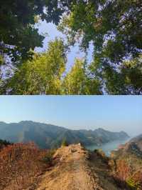 肇慶 虎坑村攻略