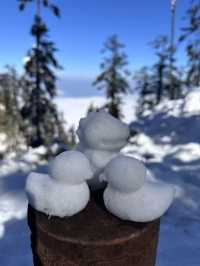 成都周邊一個小時就能到達這個玩雪聖地！
