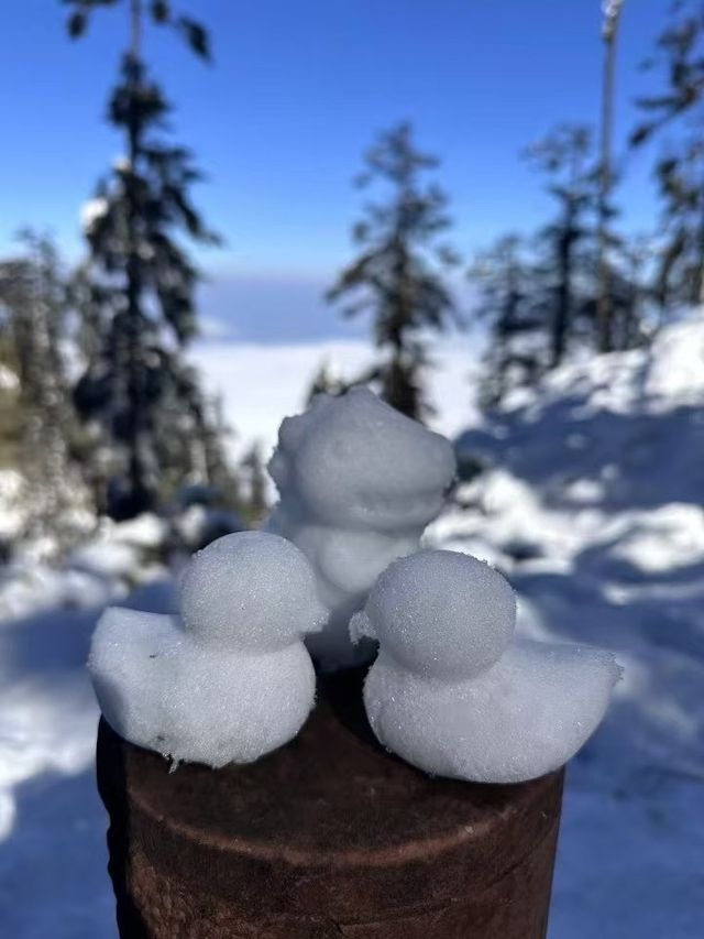 成都周邊一個小時就能到達這個玩雪聖地！