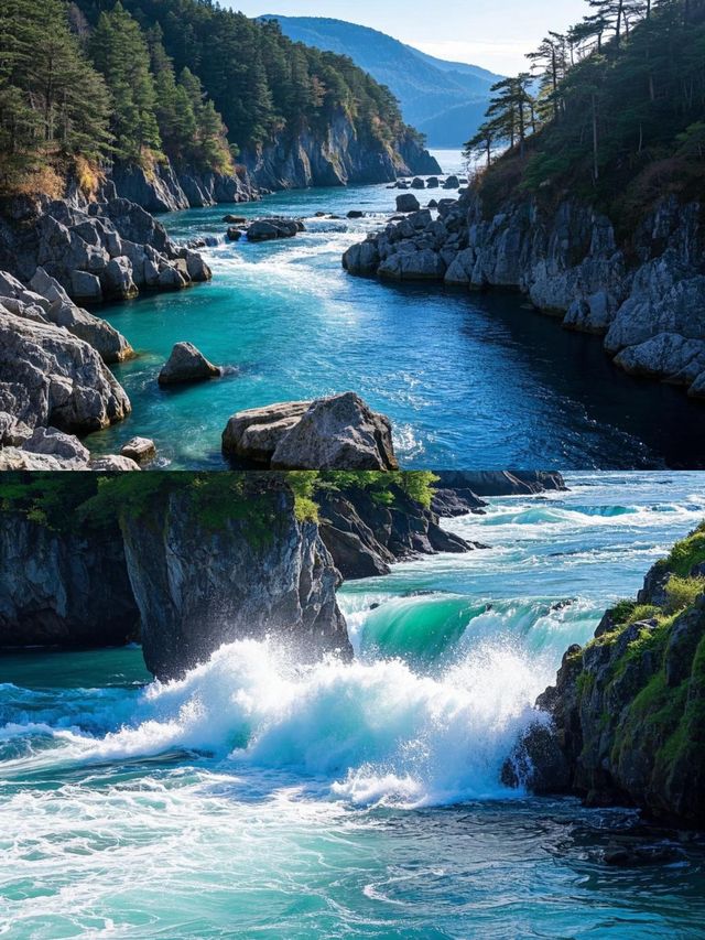 日本小松