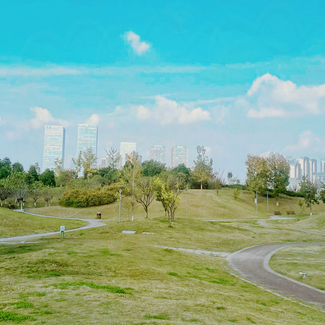 "我在桂溪生態公園待了20分鐘，居然發生了這種變化！"