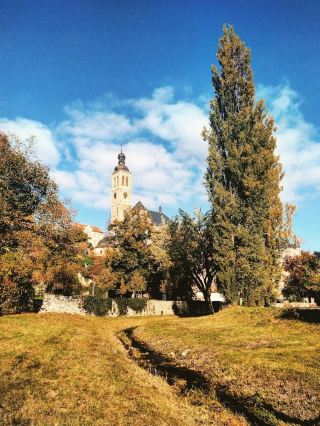 Old friends travel to many European countries in winter and enjoy the beautiful scenery