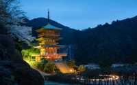 高野山一日遊 | 解鎖小眾寶藏地。