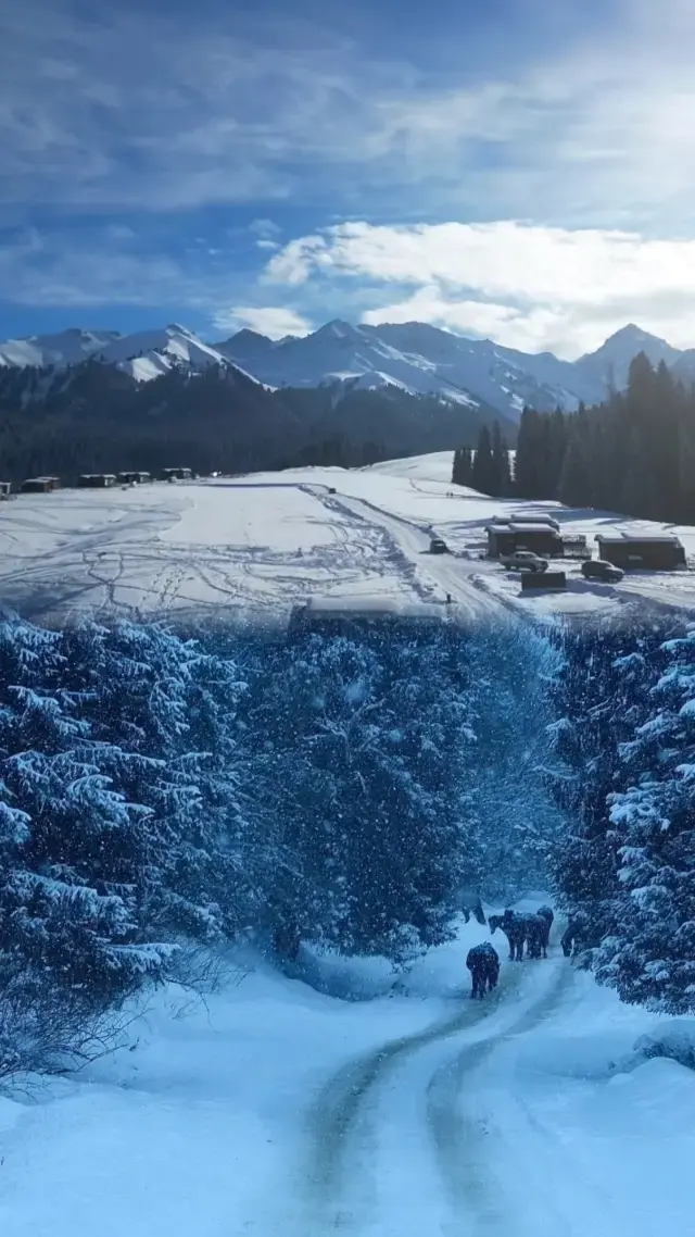 Kuerdening - A stunning winter wonderland