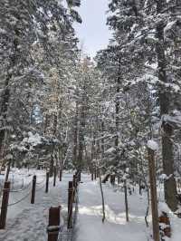 長春-長白山6日遊 帶你揭開神秘的東北雪域之旅