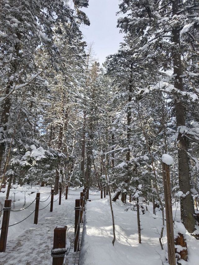 長春-長白山6日遊 帶你揭開神秘的東北雪域之旅