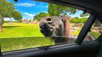 【南通森迪】住在動物園裏，來了就不想回家