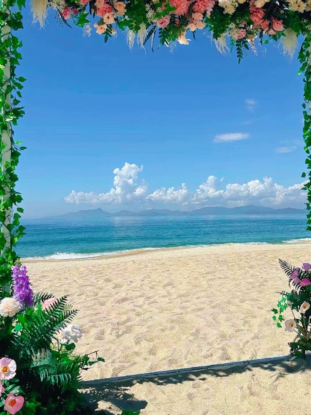 情人節歡迎來到深圳玫瑰海岸 