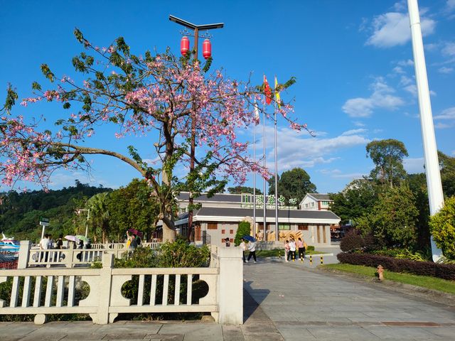天上瑤池水，人間萬綠湖