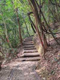 廣西欽州八寨溝重遊美景