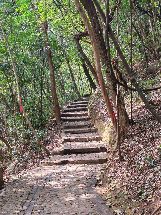 廣西欽州八寨溝重遊美景