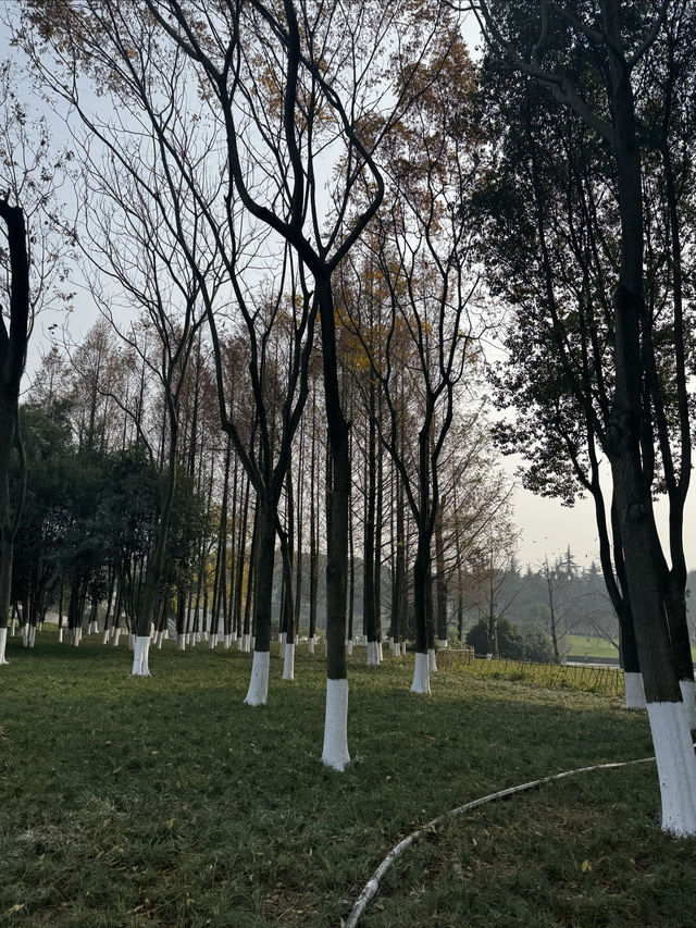 帶孩子就來渝北玩吧，一個週末吃喝玩樂全都有