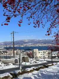 日本6日遊 帶娃出行超全攻略