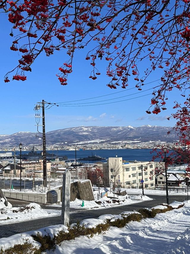 日本6日遊 帶娃出行超全攻略