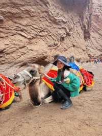 新疆旅遊｜人生是一場荒涼又熱烈的旅途