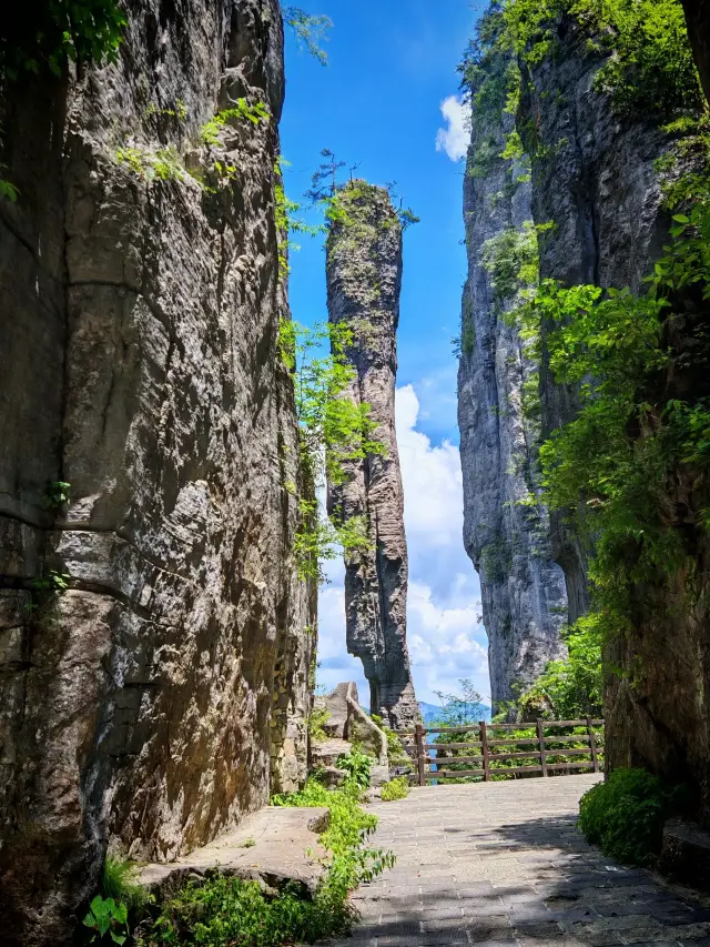 恩施市-神農架6日遊 超詳細攻略讓你玩得盡興