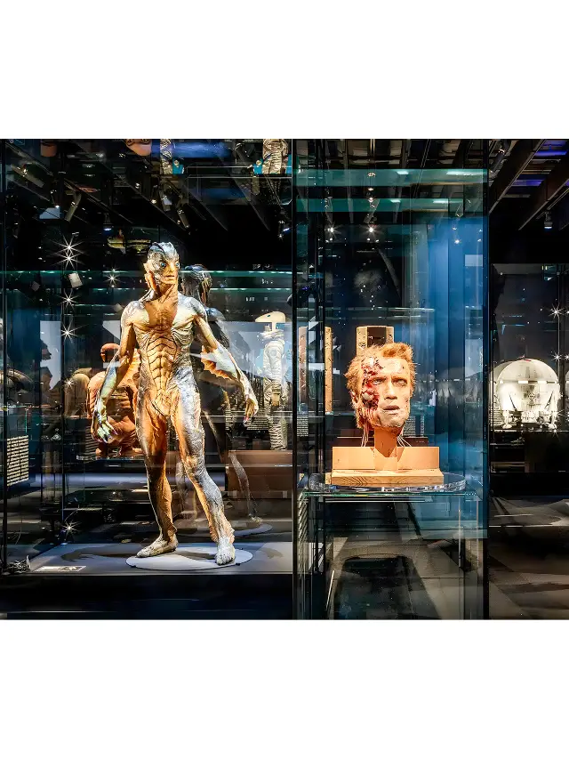 Unique 'Sky Film Museum' - A Must-Visit for Movie Fans