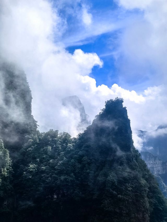 空中花園天門山