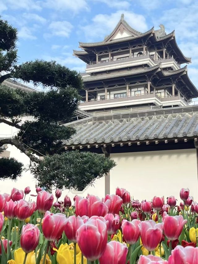 太抵啦！喺廣州唔使花一分錢就可以留足一日