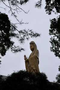 普陀山春季祈福三日遊攻略