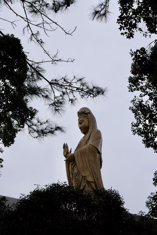 普陀山春季祈福三日遊攻略