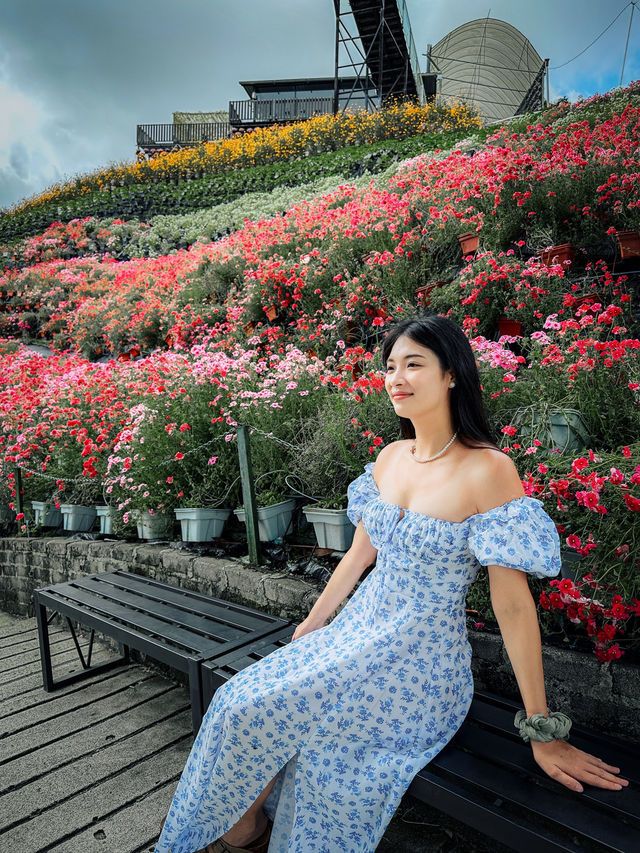 48 Hours in Cameron Highlands 🇲🇾 