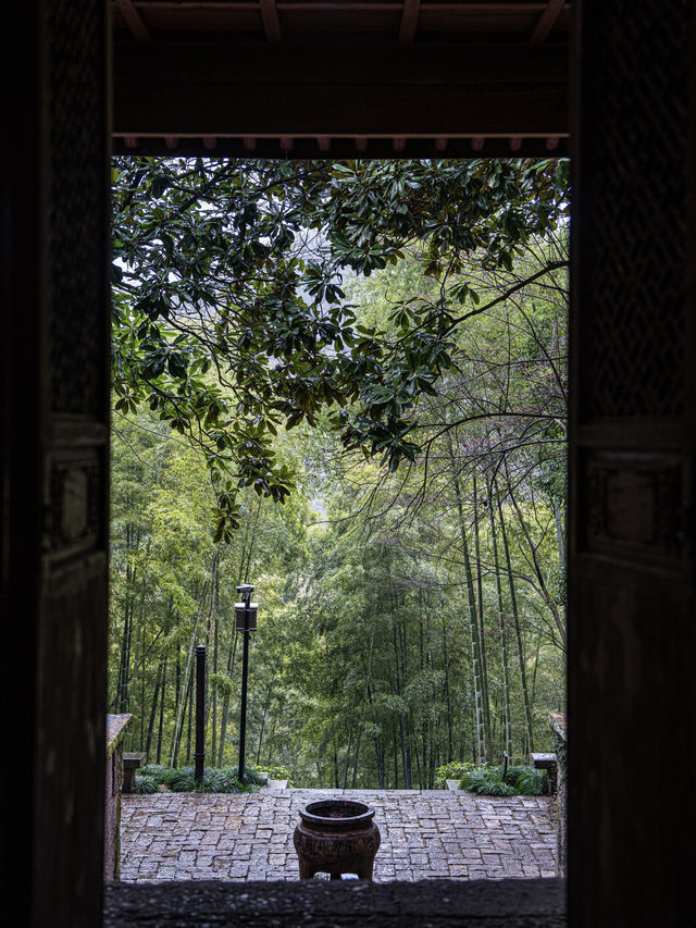 以為雨天的靈隱寺已經夠美了，直到去了這裡