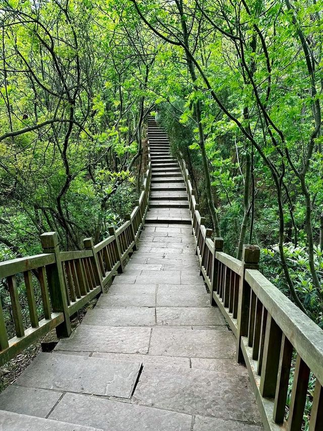 紫霞山遠足踏青