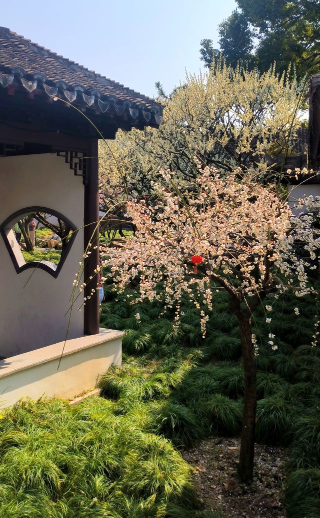 江南古典園林典範｜古猗園半日遊
