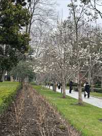 尋找春天的色彩，就來徐家匯公園吧