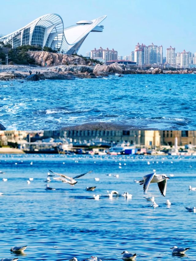 來青島，赴一場「啤」氣相投的約