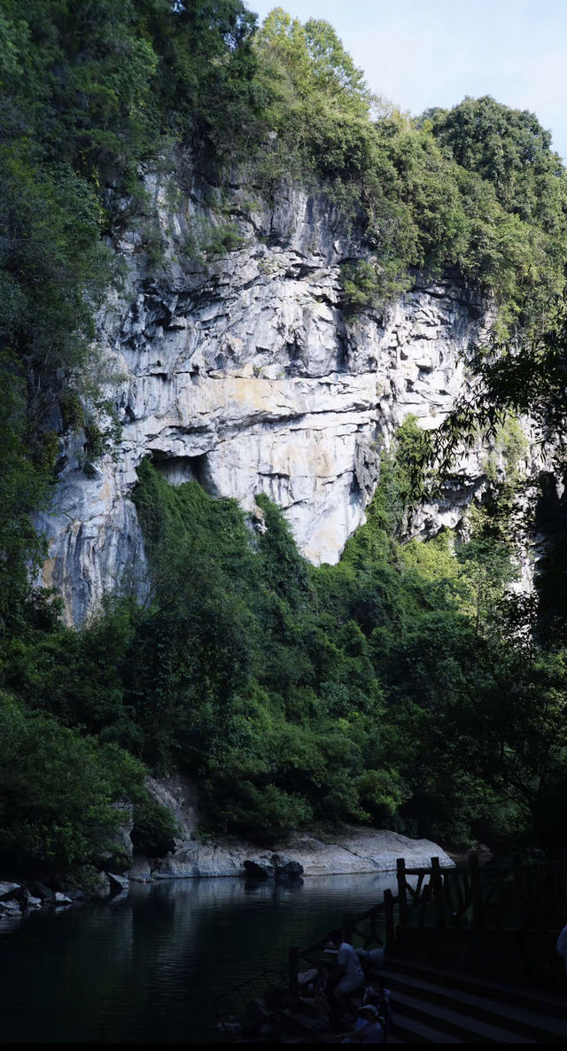 不用去阿勒泰了，已在廣西柳州找到平替了