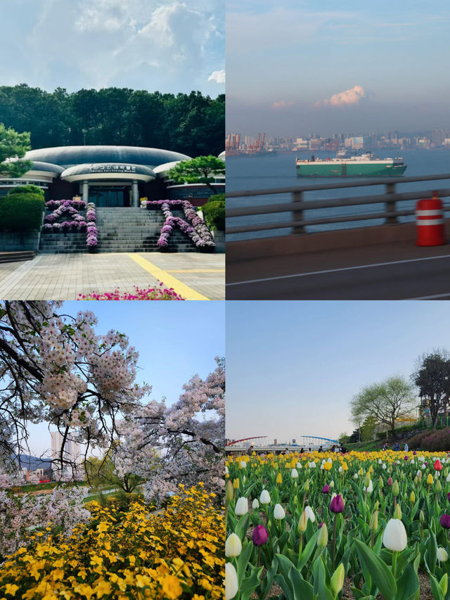 清州｜邂逅韓國小眾寶藏之城