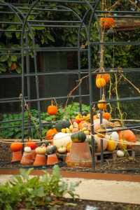 Explore Kew Gardens: A Journey into the Movies