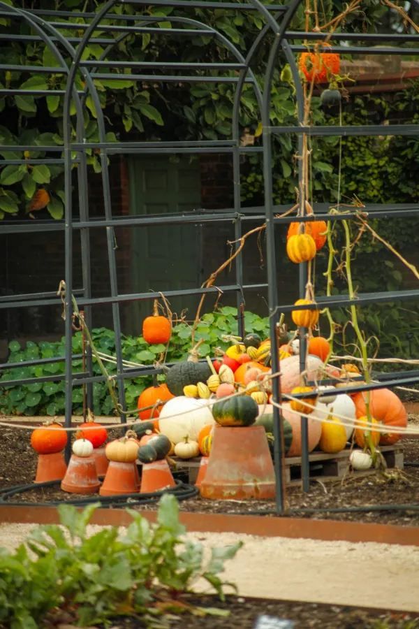 Explore Kew Gardens: A Journey into the Movies