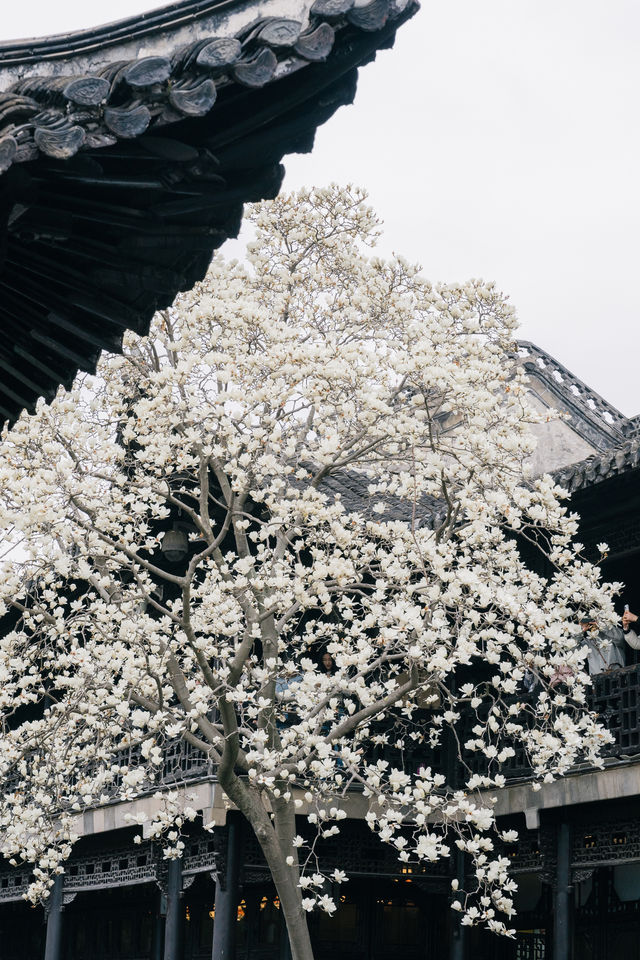 煙花三月揚州親子之旅，2天1晚輕鬆行程