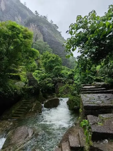 Hidden Gems of Wuyi Mountain